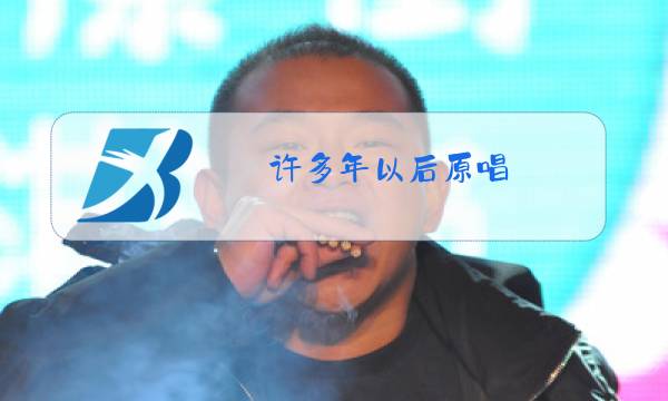 许多年以后原唱 赵鑫图片